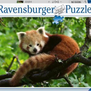 Ravensburger - Puzzle: Panda Rojo 500 piezas